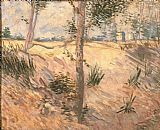 Vincent van Gogh Arbre dans un champ 1887 painting